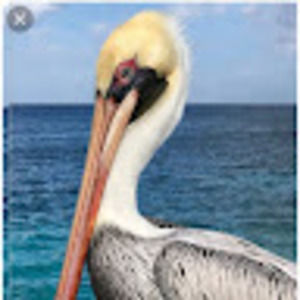 Meet your Posher, Crissy